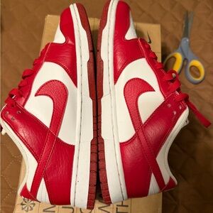 Nike Dunk Low Next Nature